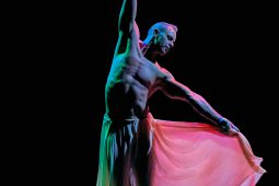 Spectacle, Tutu