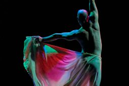 Spectacle, Tutu