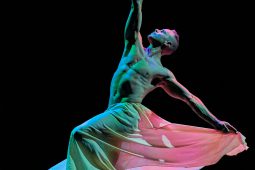 Spectacle, Tutu