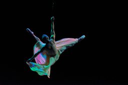 Spectacle, Tutu