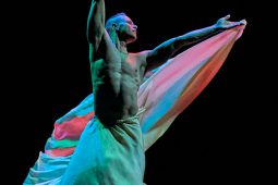 Spectacle, Tutu