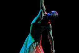 Spectacle, Tutu