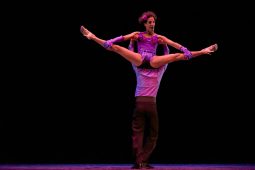 Spectacle, Tutu