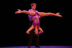 Spectacle, Tutu