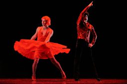 Spectacle, Tutu