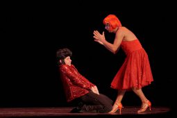 Spectacle, Tutu