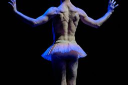 Spectacle, Tutu