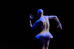 Spectacle, Tutu