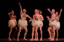 Spectacle, Tutu