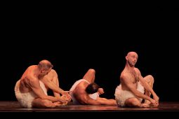 Spectacle, Tutu