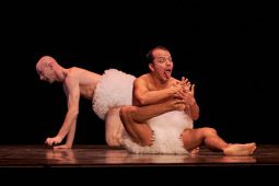 Spectacle, Tutu