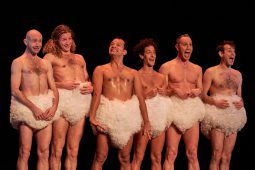 Spectacle, Tutu