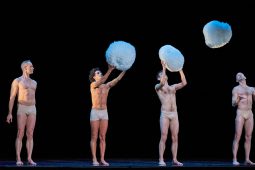 Spectacle, Tutu