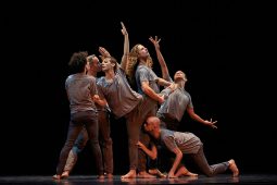 Spectacle, Tutu