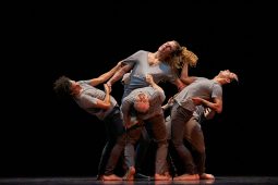 Spectacle, Tutu