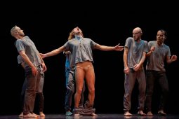 Spectacle, Tutu