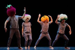 Spectacle, Tutu