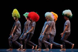 Spectacle, Tutu