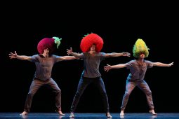 Spectacle, Tutu
