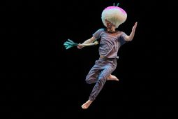 Spectacle, Tutu