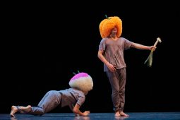 Spectacle, Tutu