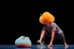 Spectacle, Tutu