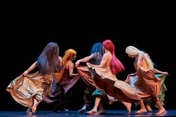 Spectacle, Tutu