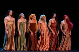 Spectacle, Tutu