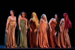 Spectacle, Tutu