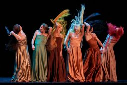 Spectacle, Tutu