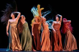 Spectacle, Tutu