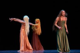 Spectacle, Tutu