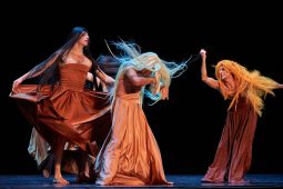 Spectacle, Tutu