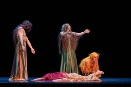 Spectacle, Tutu