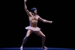 Spectacle, Tutu
