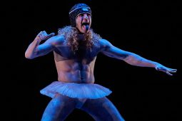Spectacle, Tutu