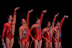 Spectacle, Tutu