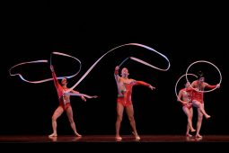 Spectacle, Tutu