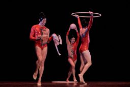 Spectacle, Tutu