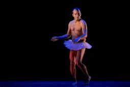 Spectacle, Tutu