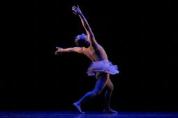 Spectacle, Tutu