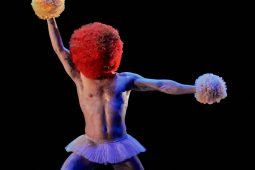 Spectacle, Tutu
