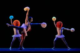 Spectacle, Tutu