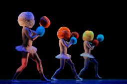 Spectacle, Tutu