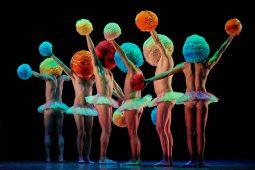 Spectacle, Tutu