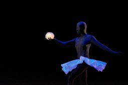 Spectacle, Tutu