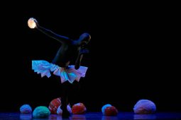 Spectacle, Tutu