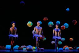 Spectacle, Tutu
