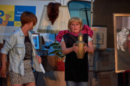 Cie La Cerise dans le Gâteau, Spectacle