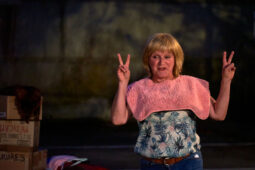Cie La Cerise dans le Gâteau, Spectacle